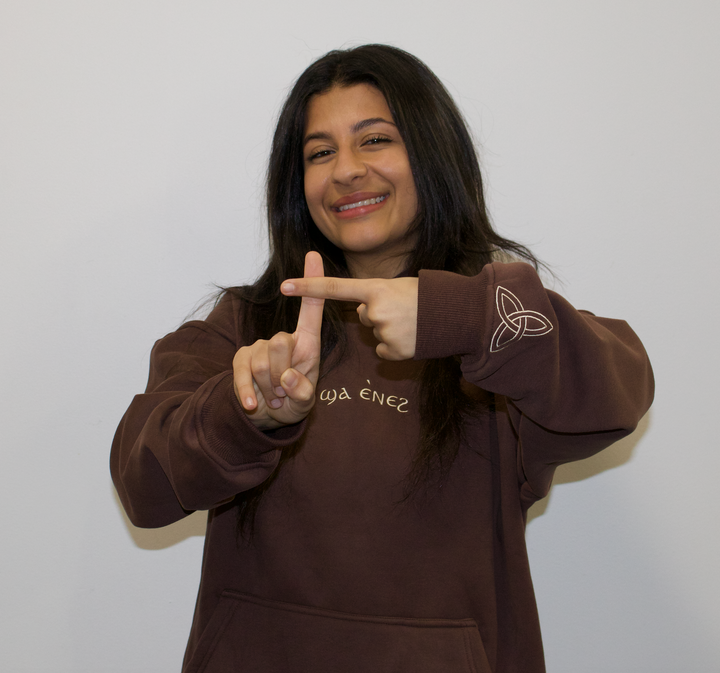 Unisex coptic coffee brown hoodie image 0