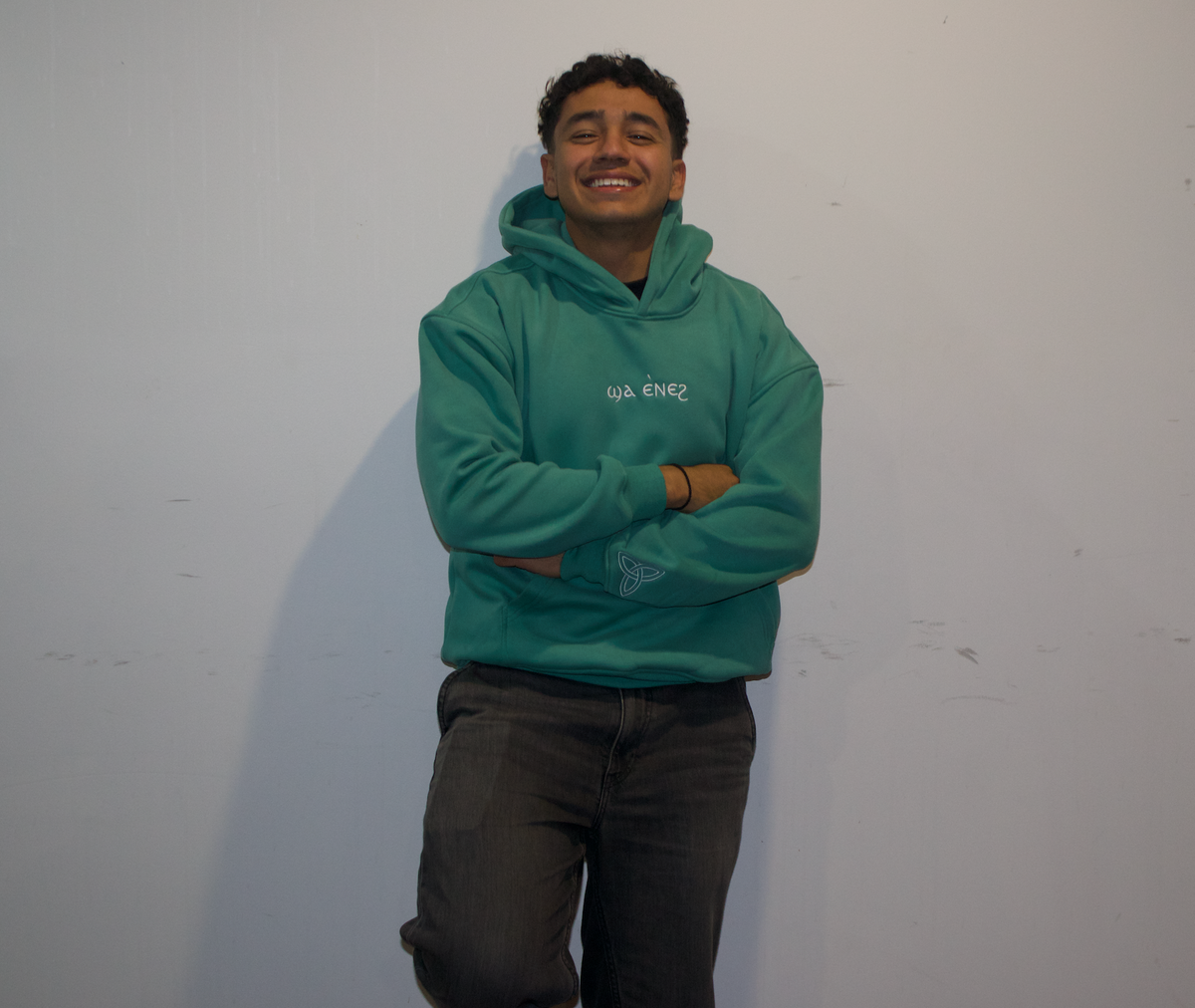 Unisex Coptic Sage green hoodie image 3